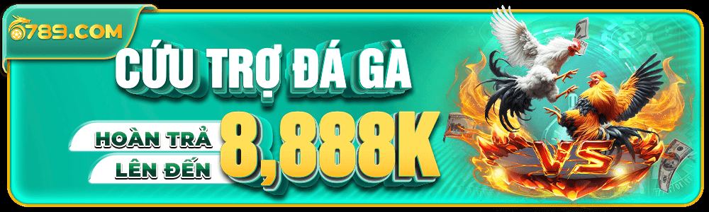6789is hỗ trợ đá gà 8,888k hoàn trả